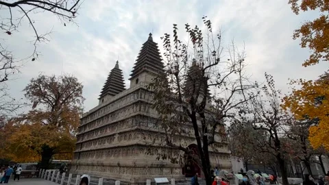 Five Pagodas Temple,Indian style Five Pagodas Temple with beautiful ginkgo tree Video stock 220692984