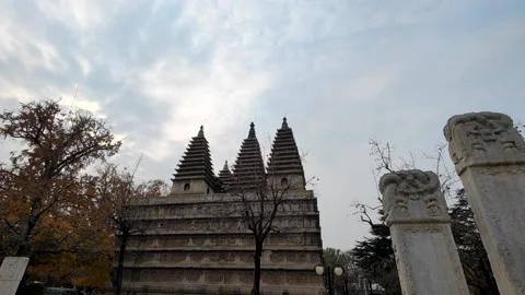 Five Pagodas Temple，stone Steles with beautiful ginkgo tree Stockbeeldmateriaal 220692994