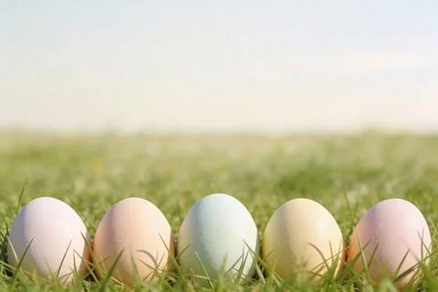 Five pastel Easter eggs nestled in green grass under a soft, bright sky Stock Photos