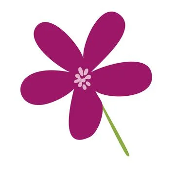 Five petal magenta flower. Vector Stock Illustration