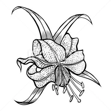 Five petals on a stem Stock Illustration