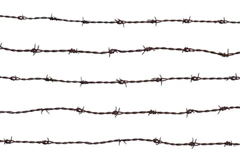 Five pieces of rusty barbed wire isolated on white background. Stock Photos