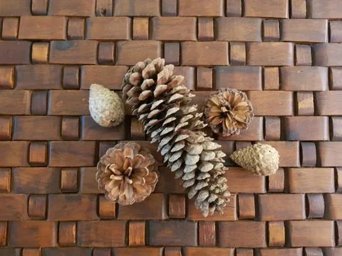 Five pine cones on a patterned wooden base 写真素材