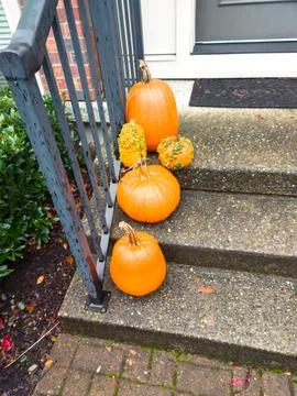 Five pumpkins on a concrete stoop Foto stock