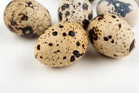 Five quail eggs on white background Stock Photos