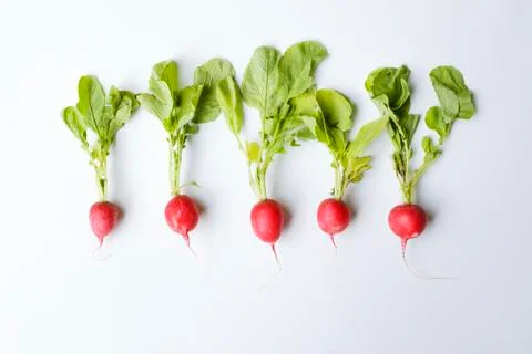 Five radishes Stock-Fotos