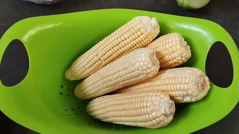 Five raw corns are still very fresh Stock Footage 226730469