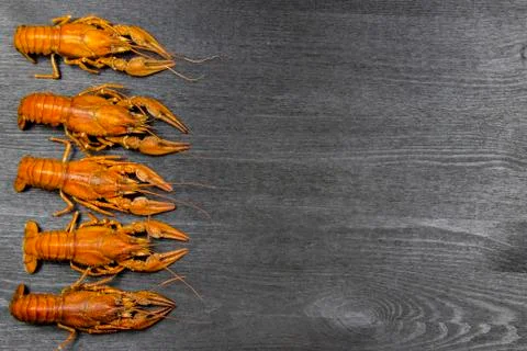 Five red boiled crawfish on  the dark wood background. Cooking food backgroun Foto stock