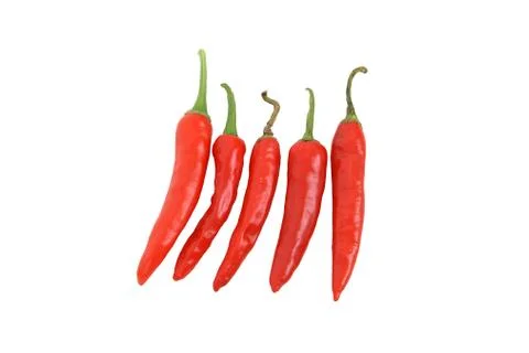 Five red chillis on white background 库存照片
