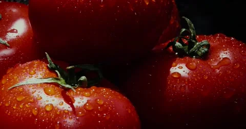 Five red tomatoes close up with water drops 4K Stock Footage 130895431