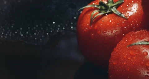 Five red tomatoes with water drops tinted video in motion 4 K Stock Footage 130990444