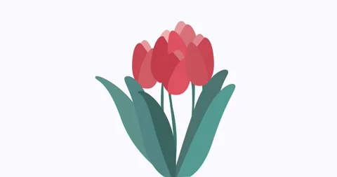 Five red tulips animation for greetings Stock Footage 149105983
