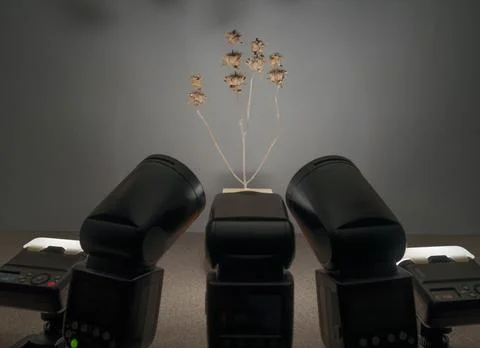 Five remotely triggered speedlight flashes Photos