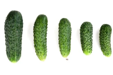 Five ripe cucumber Stock Photos