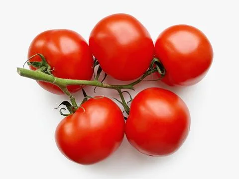 Five ripe red tomatoes on a vine on a white background Fotos de archivo