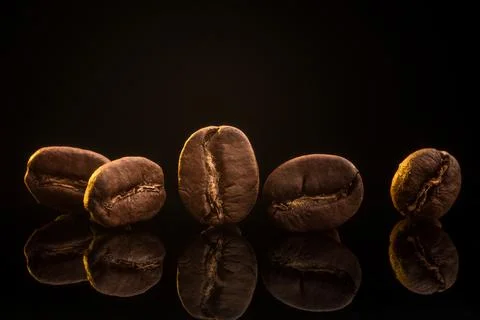 Five Roasted Coffee Beans in a Row with Reflection Photos