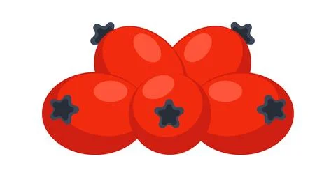 Five rose hips forming a small group isolated on white background Stock-Illustration