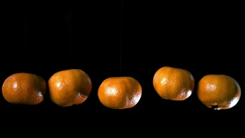 Five rotating tangerines hanging on invisible strings against black background Stock Footage 321744141