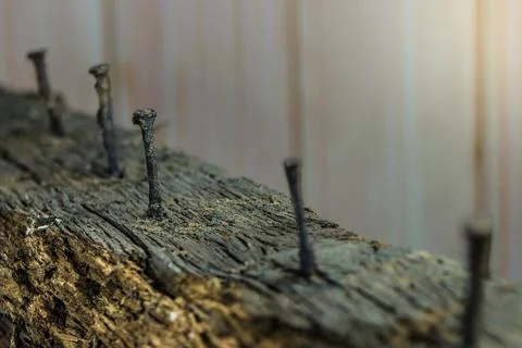 Five rusty nails stuck in a rotten wood beam Foto stock