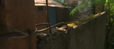 Five Seconds of an Old Wall Stock Footage 328390214