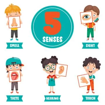Five Senses Concept With Human Organs Stock Illustration