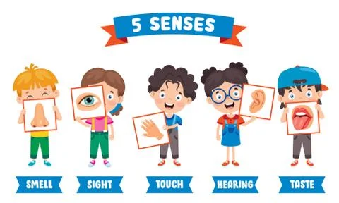Five Senses Concept With Human Organs Stock Illustration