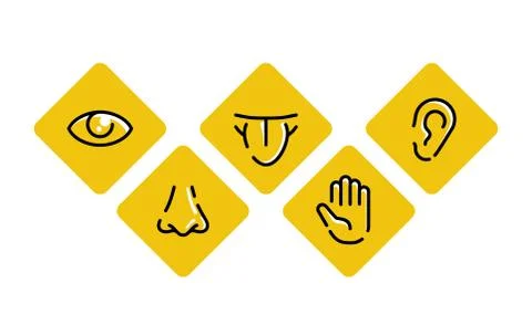 Five senses - touch, sight, hearing, smell, taste Stock Illustration