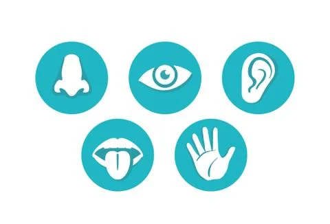Five senses - touch, sight, hearing, smell, taste Stock-Illustration