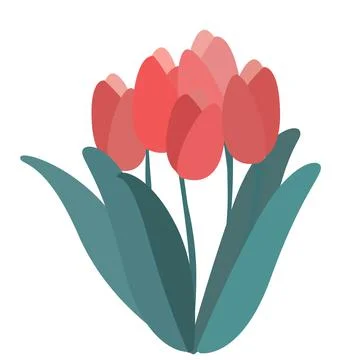 Five simple tulips vector illustration Stock Illustration