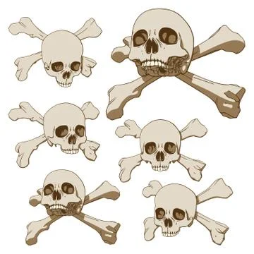 Five skulls set Stock Illustration