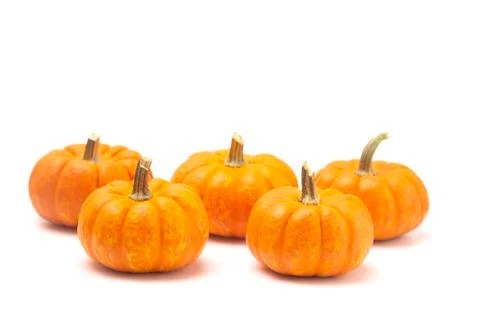Five Small Decorative Pumpkins on a White Background Stock Photos