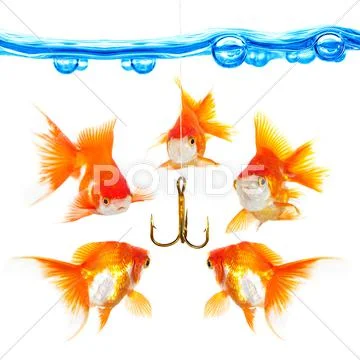 Five small fishes at a hook Stock Photos