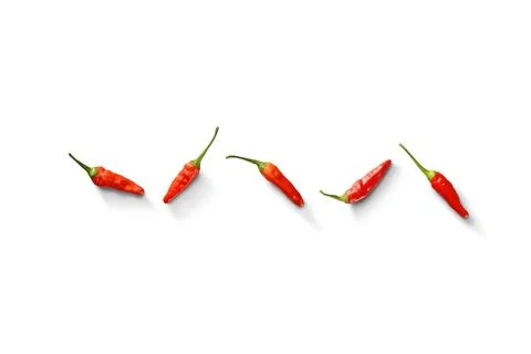 Five small red chilies Фото