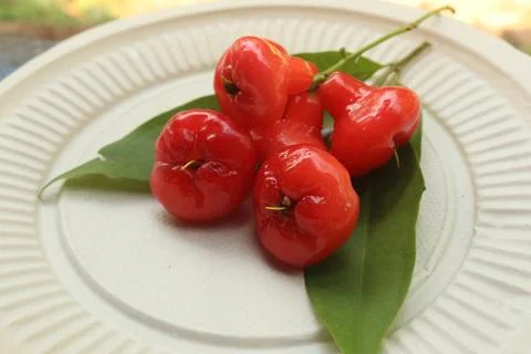 Five Small Red Guavas Stock Photos