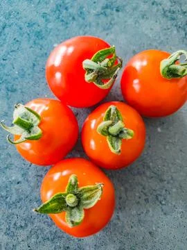 Five small red tomatoes on a grey background Stock Photos