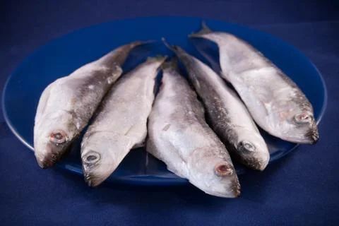 Five sprats Stock Photos