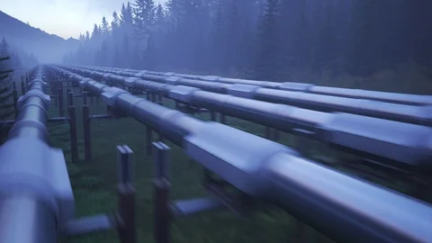 Five streams of pipeline running through the forest clearance. Video stock 88277525
