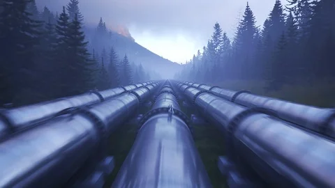 Five streams of pipeline running through the forest clearance. Stock Footage 88278774
