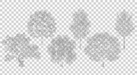 Five textured tree species isolated on transparent background elevation view Stock Illustration