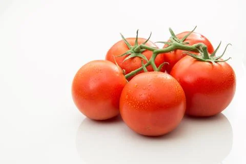 Five tomatoes on the vine isolated on white background. Stock Photos