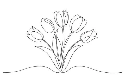 Five tulips in continuous line drawing style flower Stock Illustration