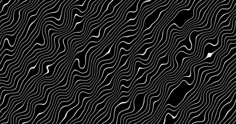 Five Type of Motion Graphics Line Stock Footage 245917887