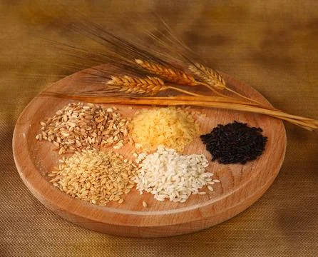 Five types of rice 写真素材