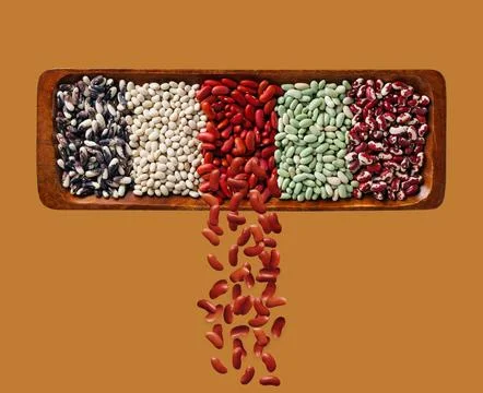 Five varieties of beans on an orange background. Stock Photos