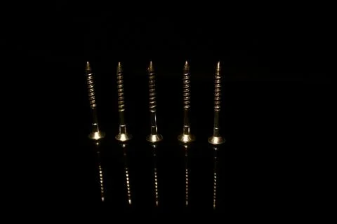 Five wall dowel  screw isolated on black with reflections Stock Photos