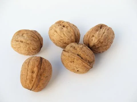 Five walnuts isolated on white background Stock Photos