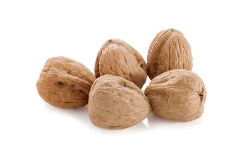 Five walnuts on a white background Stock Photos