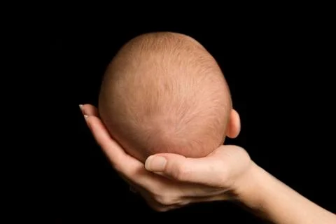 Five week old babys head held in mothers hand. color Stock Photos