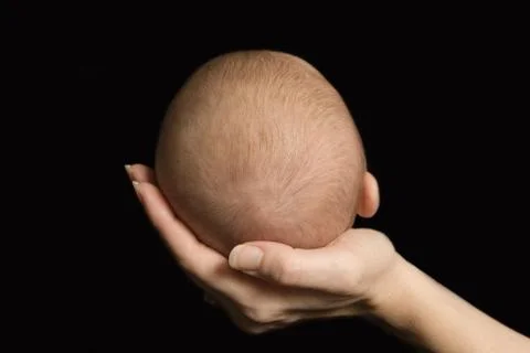 Five week old babys head held in mothers hand. Color Stock Photos