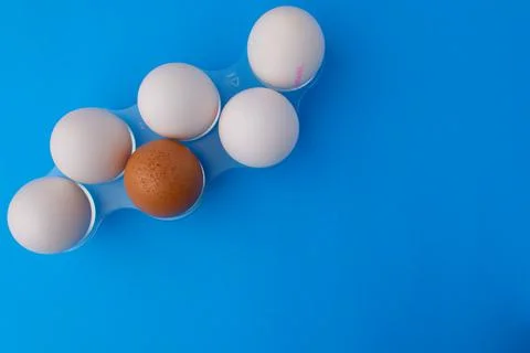 Five white and one brown chicken eggs in a plastic stand. Easter card concept Stock Photos
